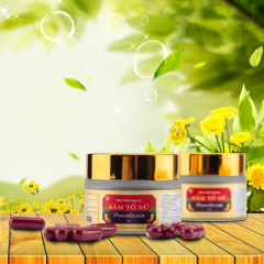 Cung Cấp Sâm Tố Nữ Pucollazen tại Hồ Chí Minh